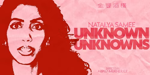 Natalya Samee: Unknown Unknowns