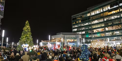 Harbor Point 15th Annual Christmas Tree Lighting
