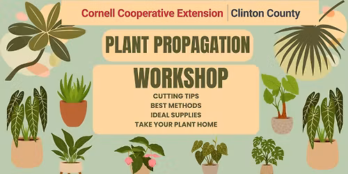 Plant Propagation Workshop