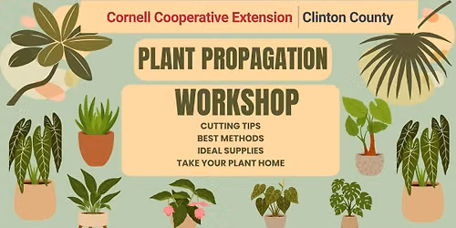 Plant Propagation Workshop