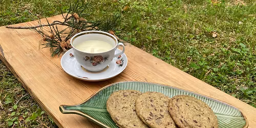 M\u00e4nnihaldja Matcha ja Kombucha kohvik-baar \ud83c\udf75