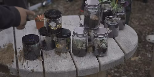 Air Ecologies Closed Jar Terrarium Workshop