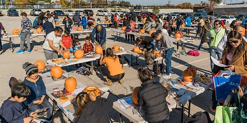 Pumpkin Carving in Cooksville!