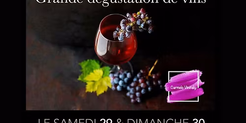 Dégustation de vins italiens en présence des producteurs