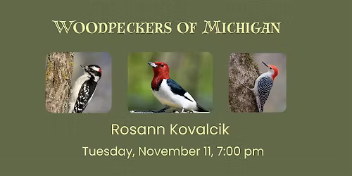 Woodpeckers of Michigan