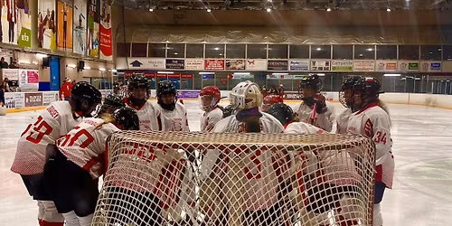 Top Kittens V Ice Bees