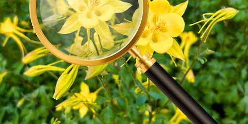 Botany Webinar