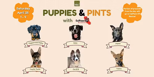 Puppies & Pints at Taplands