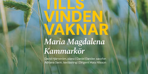 Nationaldagskonsert