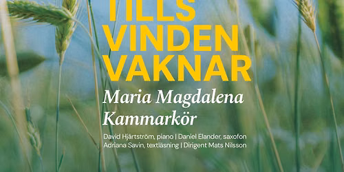 Nationaldagskonsert