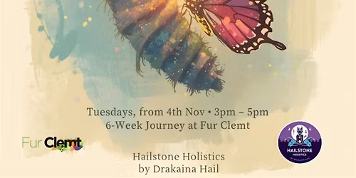 The Creative Cocoon- Healing Through Art