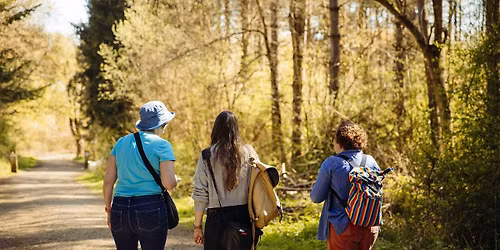 Capture & Connect: Autumn Photography Walk and Picnic in Salcey Forest