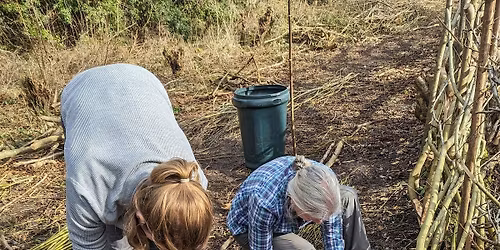Volunteering @ Oilhouse Willow Bed