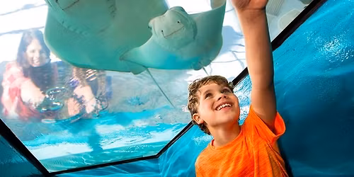 HOMESCHOOL DAYS: April 20 -24, 2026