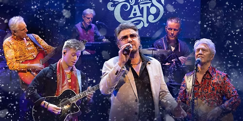 Winter is here! - The story of the Cats