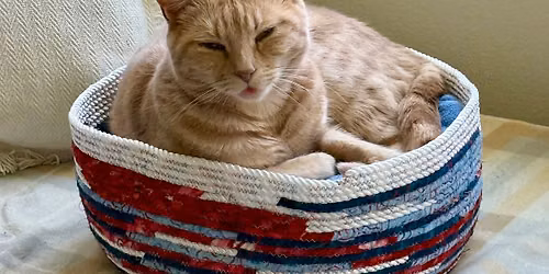 Wrapped or Ribbon Rope Bowl Workshop