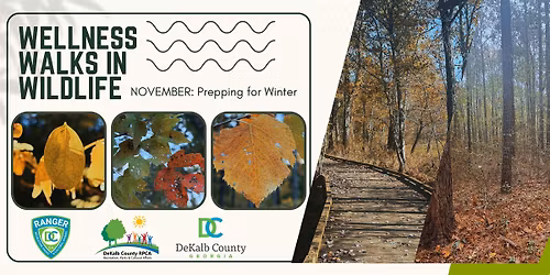 Wellness Walks in Wildlife - SRT