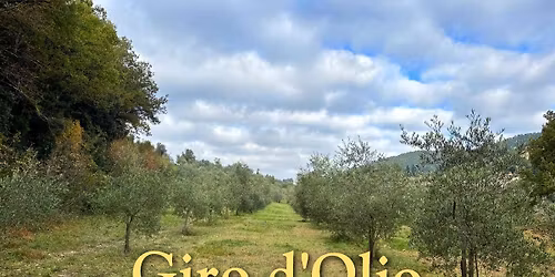 Giro d'Olio: escursione gratuita per famiglie 🫒👧🏻