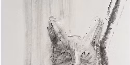 Charcoal Portraits of Your Pet Workshop