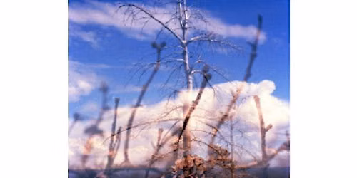 "Everyday Oases" Photography exhibit by Melanie Gonzalez, thru 09\/08\/2026.