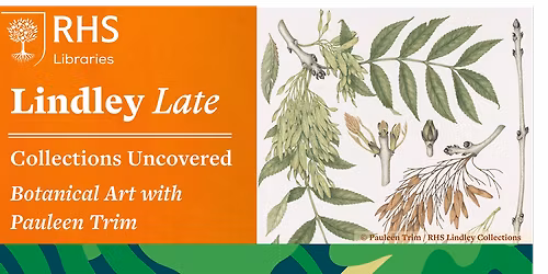 Lindley Late - Collections Uncovered: Botanical Art with Pauleen Trim