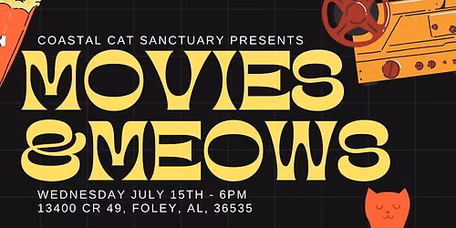 Movies and Meows