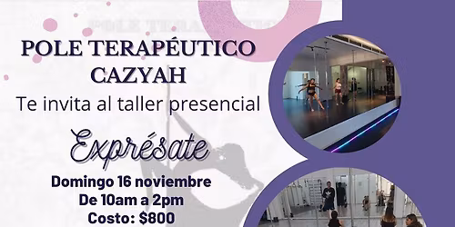 Taller Pole Terap\u00e9utico "Expr\u00e9sate"