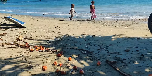 \u09b8\u09c7\u09a8\u09cd\u099f\u09ae\u09be\u09b0\u09cd\u099f\u09bf\u09a8 \u09ad\u09cd\u09b0\u09ae\u09a3 \u09e7\u09e7,\u09e6\u09e6\u09e6 \u099f\u09be\u0995\u09be \u098f\u09b8\u09bf \u09ac\u09be\u09b8 \u09ea \u09b0\u09be\u09a4 \u09e9 \u09a6\u09bf\u09a8