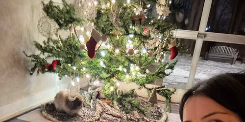 Relaxation Yoga with Bunnies \ud83d\udc30