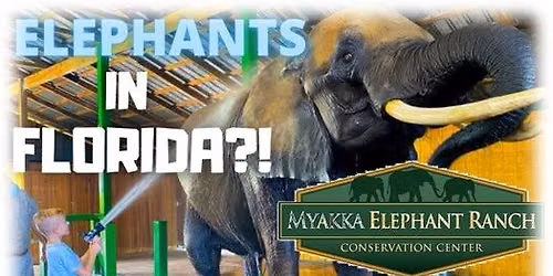 SEPT. 29, TUES. \u2013 MYAKKA ELEPHANT RANCH