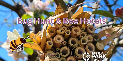 Bug Hunt & Bee Hotels