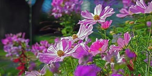 BBC Gardeners World Spring Fair at Beaulieu