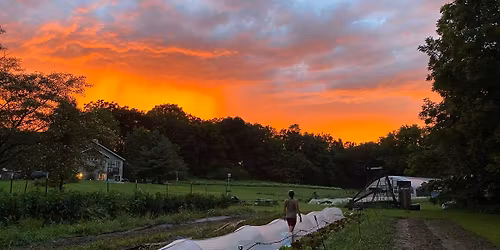 Sunset Farm Tour and Yoga with Sound Bath