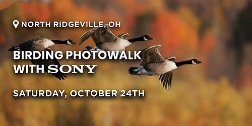 Birding Photowalk with Sony | Cleveland, OH