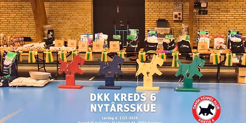 Nyt\u00e5rsskue d. 17\/1 2026