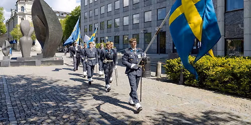 Veterandagen