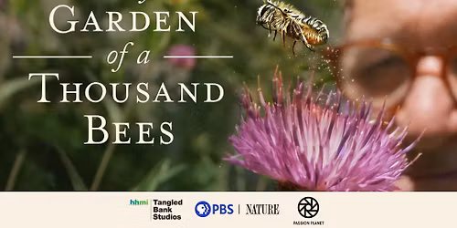 My Garden of a Thousand Bees Movie Night