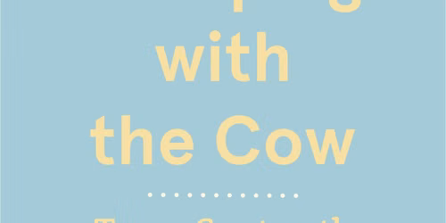 Camping with the Cow