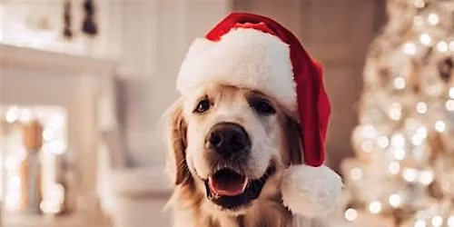 SANTA PAWS