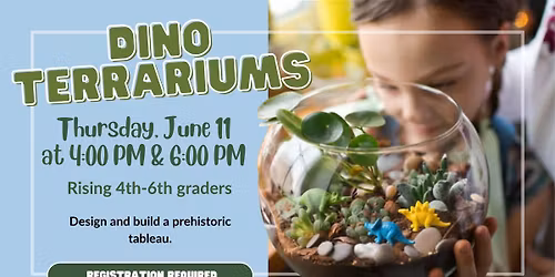 Dino Terrariums
