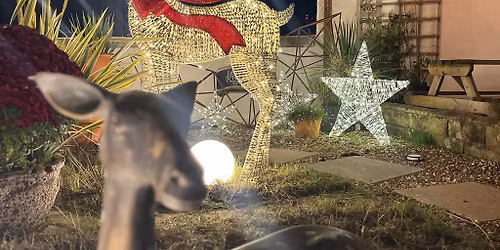 Rooftop coffee shop serving mulled wine and mince pies!