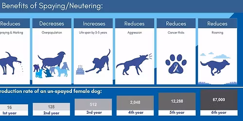 PetPals Spay & Neuter Clinic