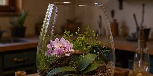 Orchid Terrarium Workshop