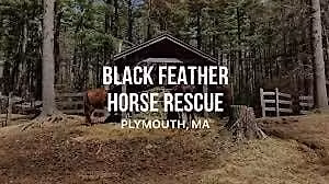 Haunted Hike to the Horses