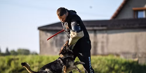 Trening obrony sportowej z Paw\u0142em Krawczykiem na \u015bl\u0105sku