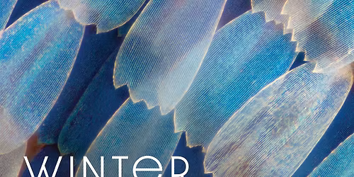 National Children's Chorus: DC Winter Showcase