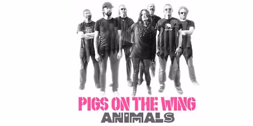 PIGS ON THE WING - ANIMALS