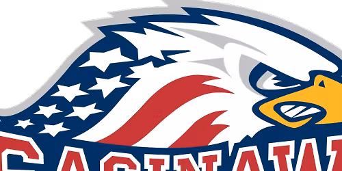 Saginaw Spirit at Windsor Spitfires at WFCU Centre