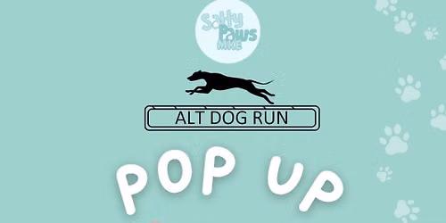 Dog Treadmill sessions @ Salty Paws MKE