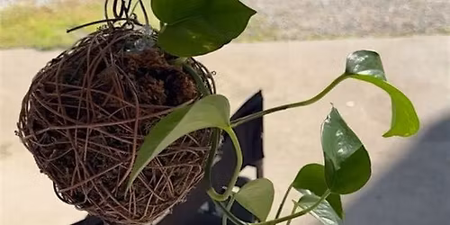Kokedama Planter Class